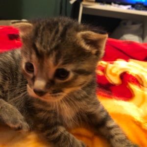 Meet your Posher, Luis